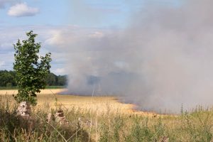 Brand, Lüsse, Feuerwehr, FFW, Bad Belzig