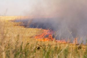 Brand, Lüsse, Feuerwehr, FFW, Bad Belzig
