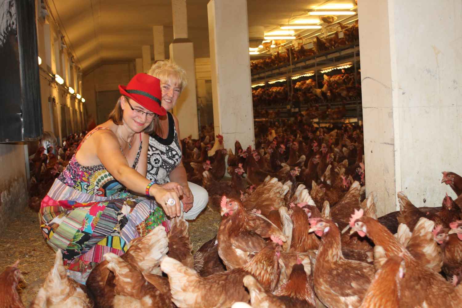 Anke Domscheidt-Berg, Gut Schmerwitz