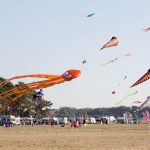 Drachenfest, Drachen, Locktow, Hoher Fläming, Drachensportclub