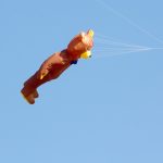 Drachenfest, Drachen, Locktow, Hoher Fläming, Drachensportclub