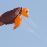 Drachenfest, Drachen, Locktow, Hoher Fläming, Drachensportclub