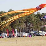 Drachenfest, Drachen, Locktow, Hoher Fläming, Drachensportclub