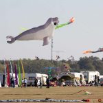 Drachenfest, Drachen, Locktow, Hoher Fläming, Drachensportclub