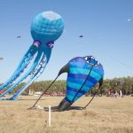 Drachenfest, Drachen, Locktow, Hoher Fläming, Drachensportclub