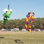 Drachenfest, Drachen, Locktow, Hoher Fläming, Drachensportclub