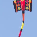 Drachenfest, Drachen, Locktow, Hoher Fläming, Drachensportclub