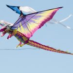 Drachenfest, Drachen, Locktow, Hoher Fläming, Drachensportclub