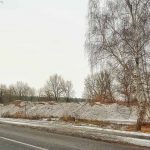 Claudia Schäfer, Waldbrand, Abholzung, Frohnsdorf