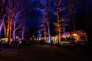 Weihnachtsmarkt unter Eichen, Frohnsdorf