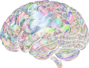 "Das geht mir auf den Geist!" Vortrag über Verstand und Meditation @ Kreisvolkshochschule PM | Bad Belzig | Brandenburg | Deutschland