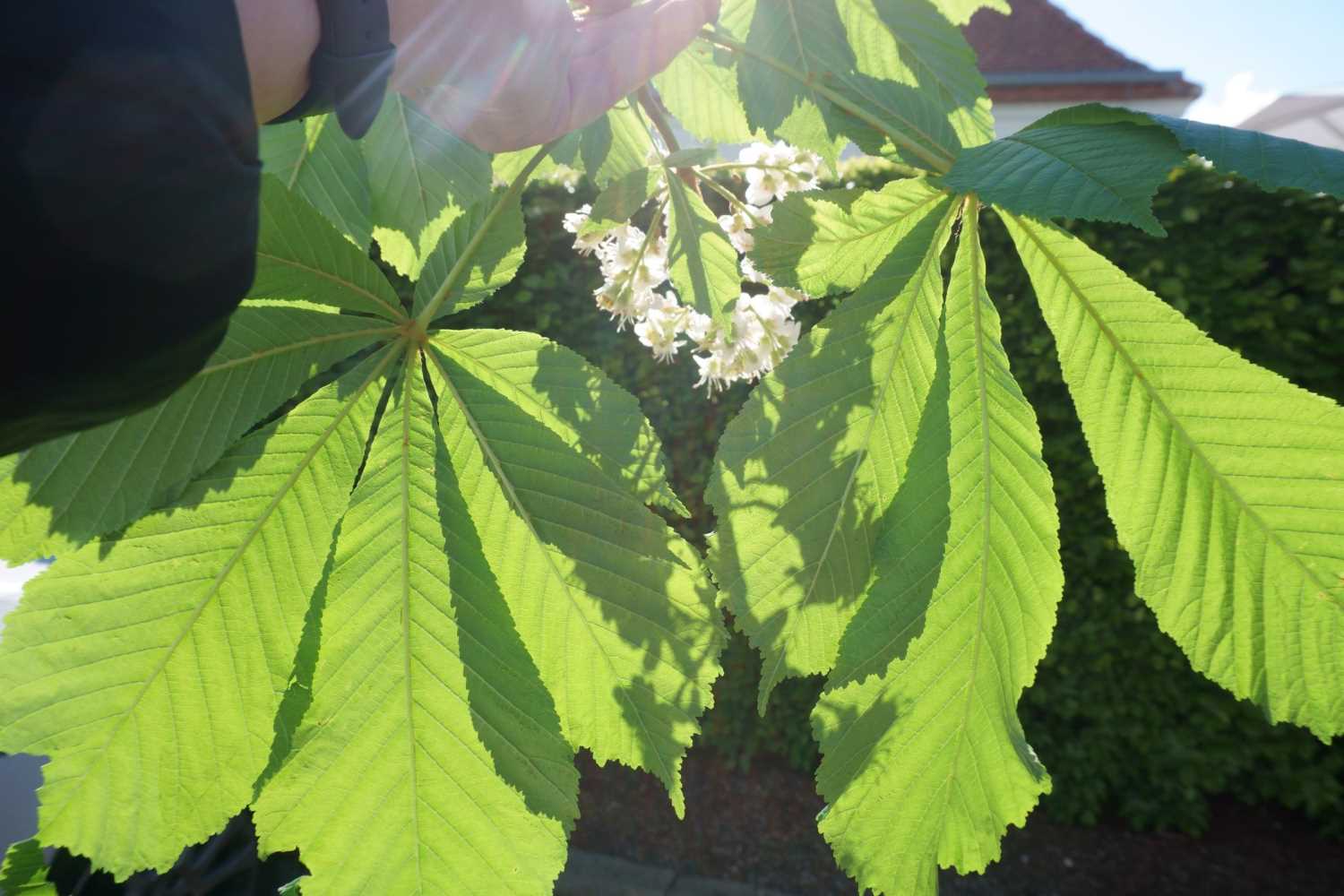 bild und klangreise,wiesenburg,mals scheune, helga holz,veranstaltungen,kultur,forografie