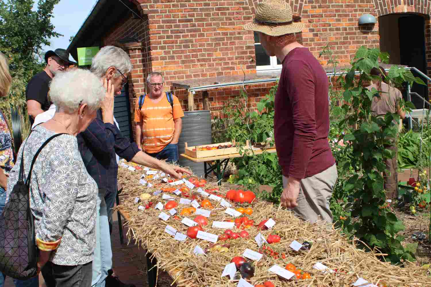 tomatenausstellung,raben,naturparkzentrum