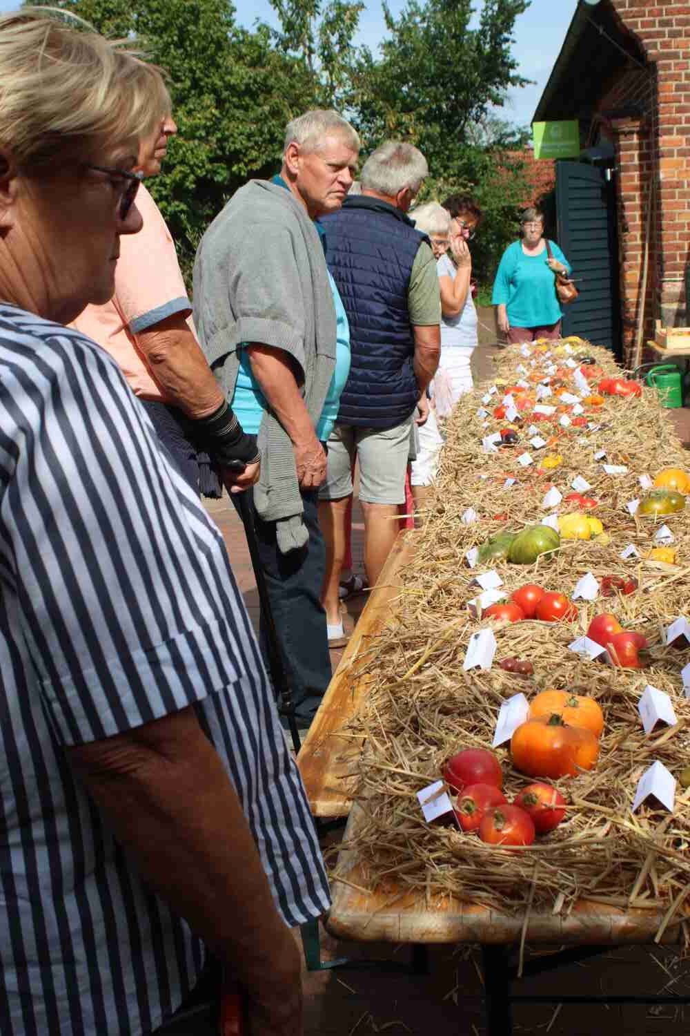tomatenausstellung,raben,naturparkzentrum