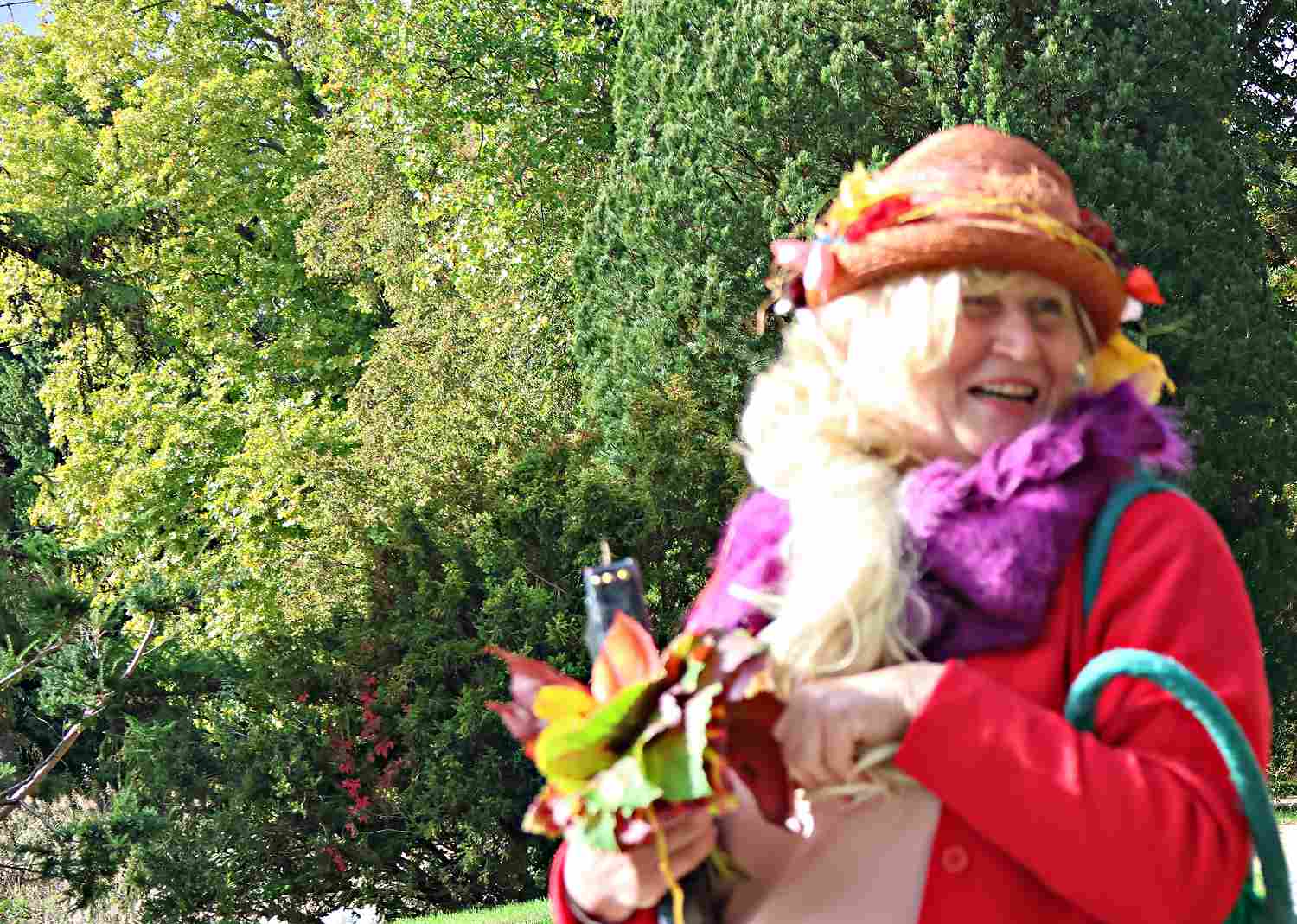 Park Wiesenburg,wiesenburg,parkförderverein,veranstaltungen