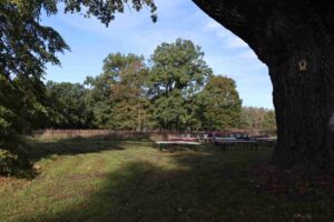 hubertusmesse,zipsdorf,reetz,wiesenburg,kirchengemeinde wiesenburg