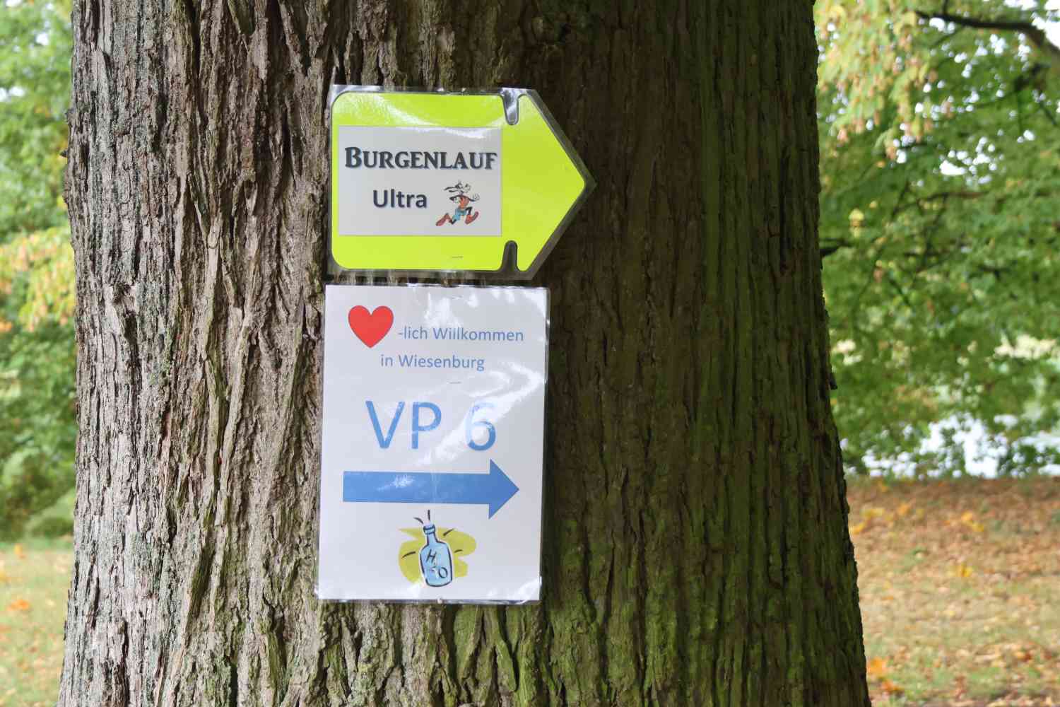 burgenlauf,bad belzig,raben,wiesenburg,sport,freizeitsport,marathon