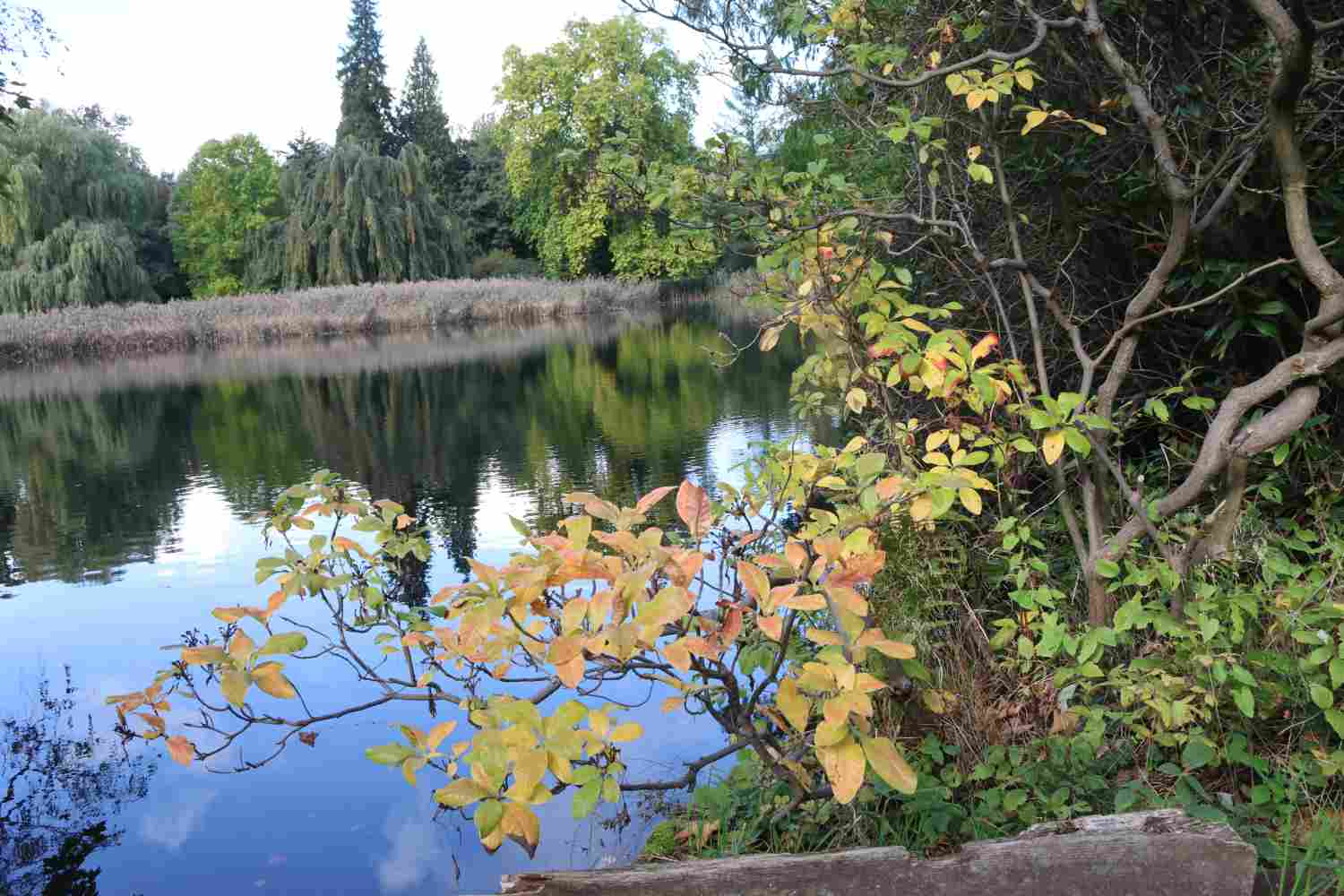 Park Wiesenburg,wiesenburg,parkförderverein,veranstaltungen