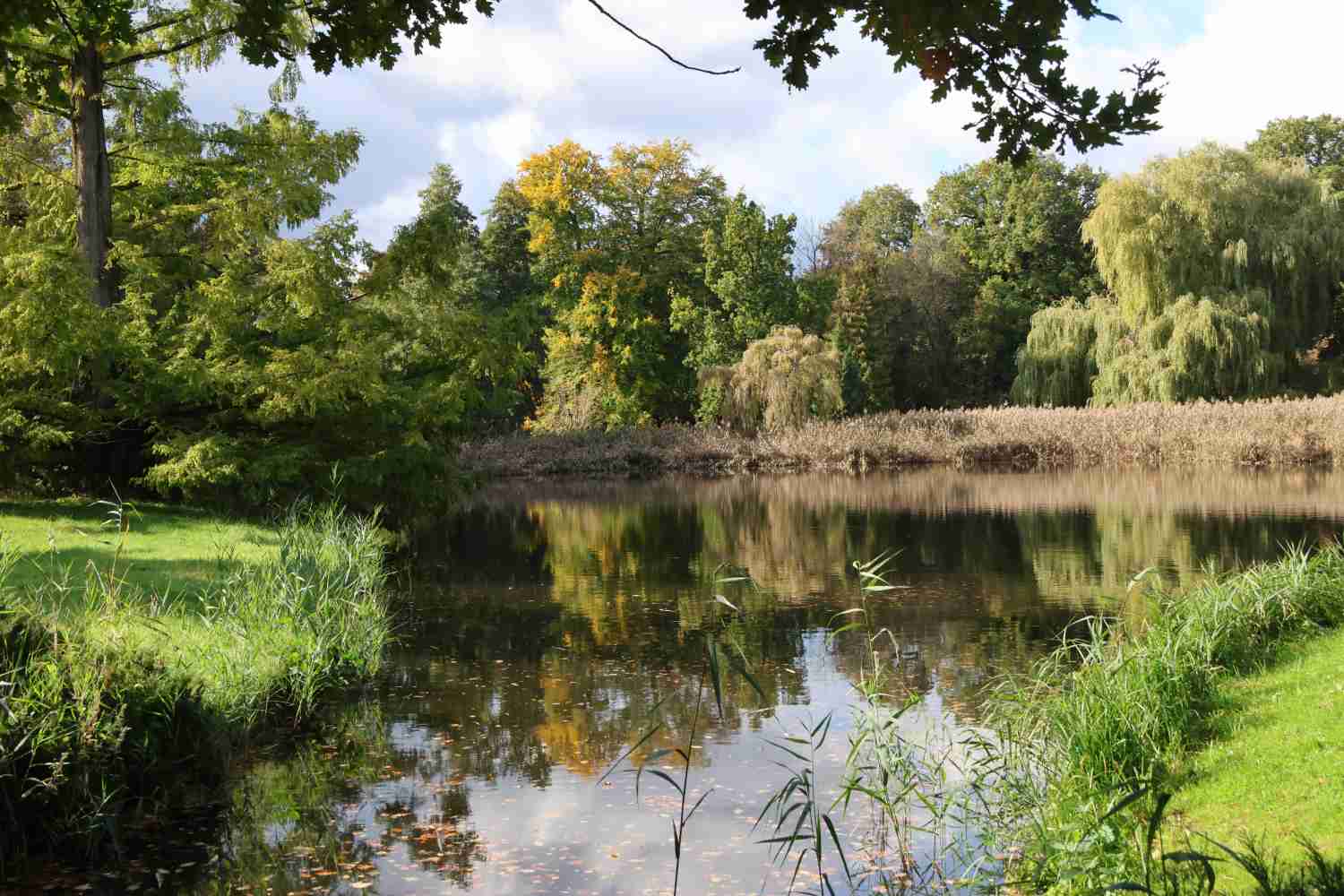 Park Wiesenburg,wiesenburg,parkförderverein,veranstaltungen