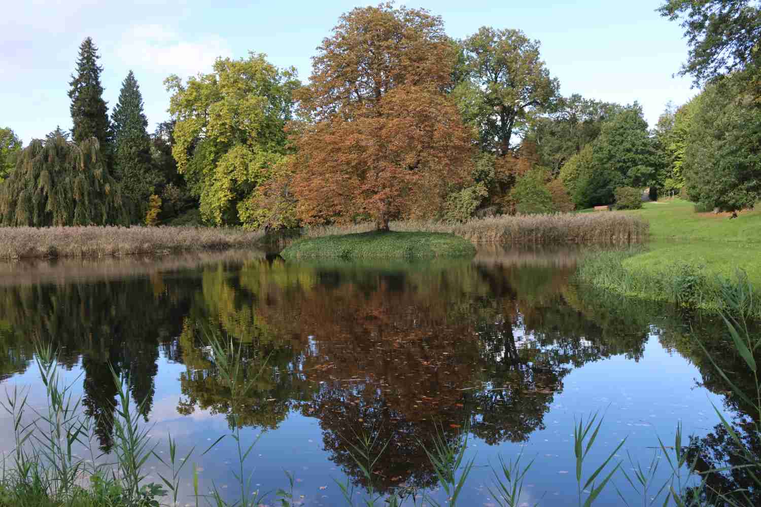 Park Wiesenburg,wiesenburg,parkförderverein,veranstaltungen