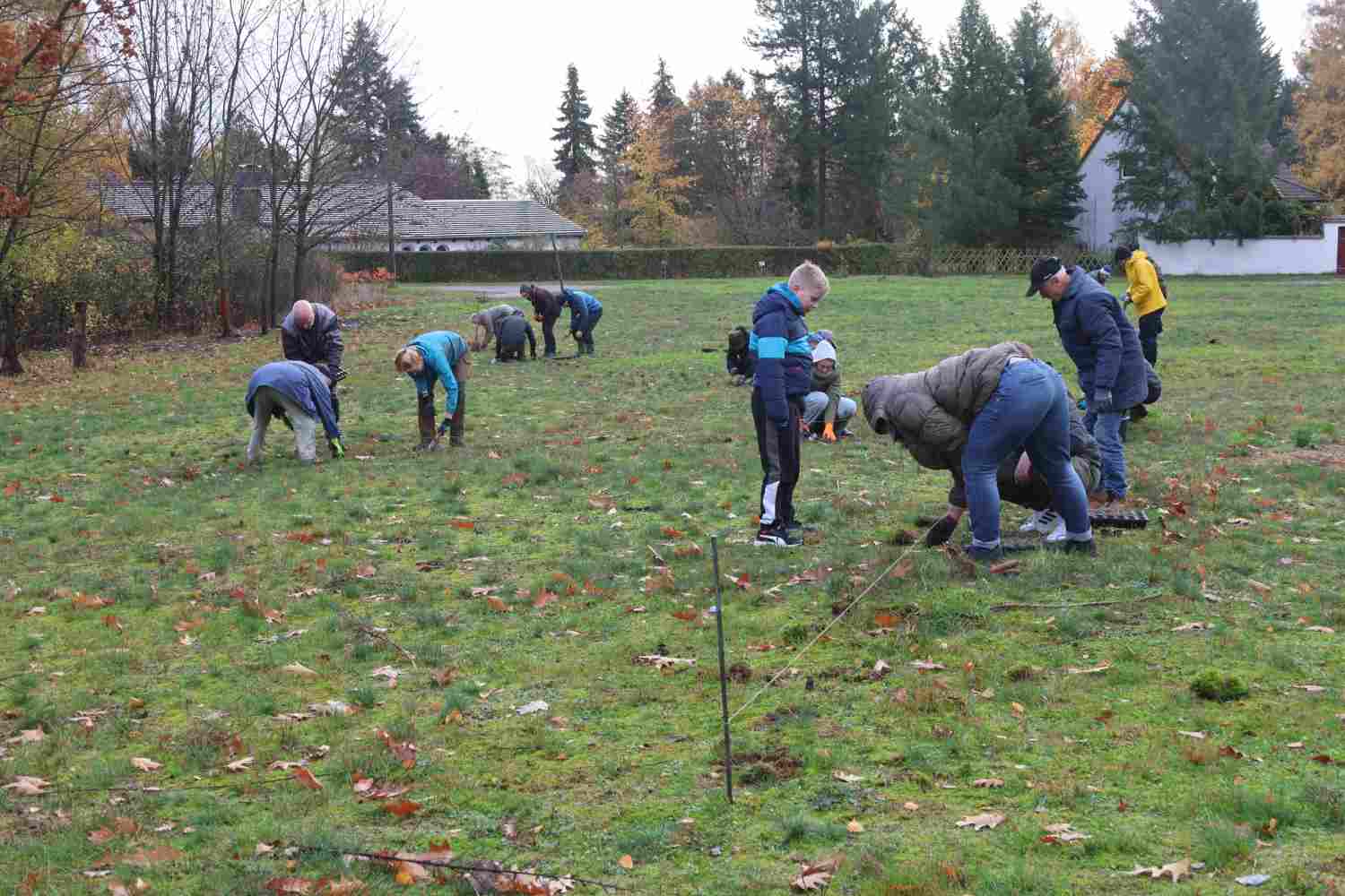 presseberg,bad belzig,trockenrasen,skabiose,naturpark hoher fläming,life trockenrasen