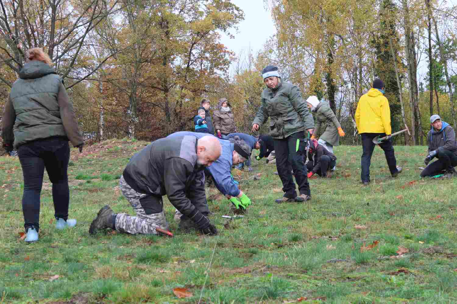 presseberg,bad belzig,trockenrasen,skabiose,naturpark hoher fläming,life trockenrasen