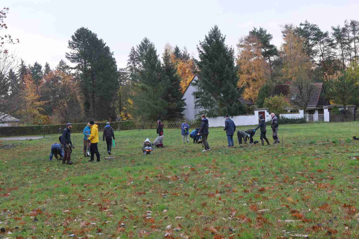 presseberg,bad belzig,trockenrasen,skabiose,naturpark hoher fläming,life trockenrasen