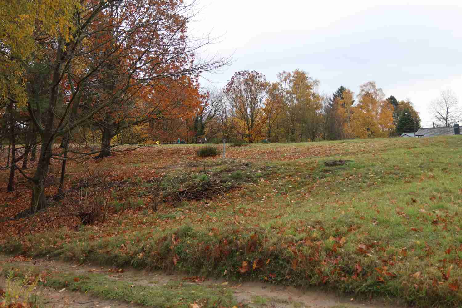 presseberg,bad belzig,trockenrasen,skabiose,naturpark hoher fläming,life trockenrasen
