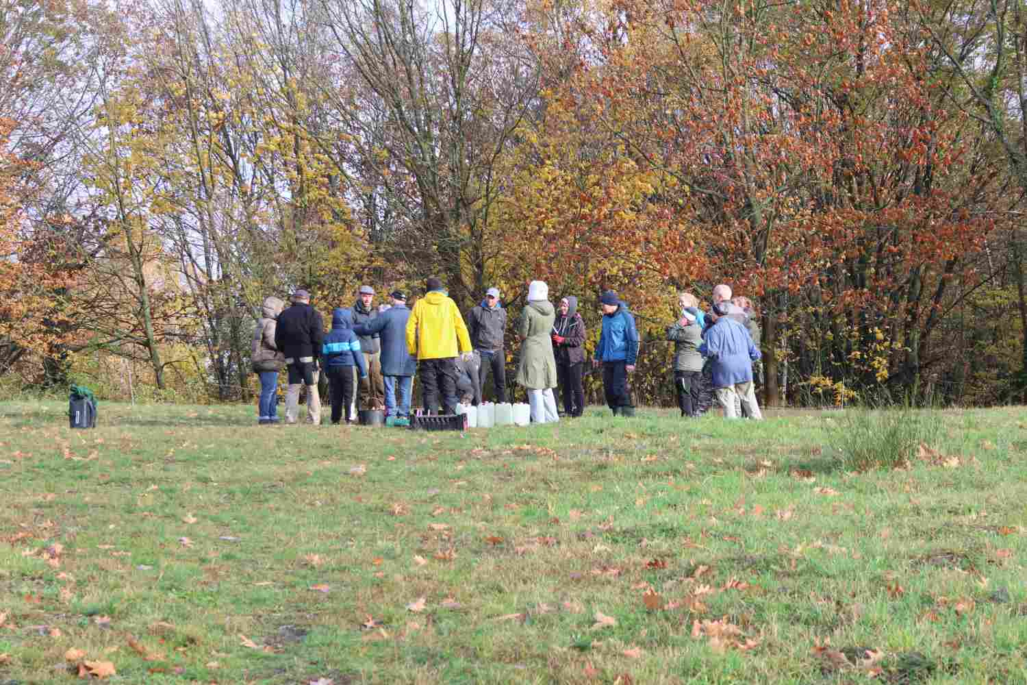 presseberg,bad belzig,trockenrasen,skabiose,naturpark hoher fläming,life trockenrasen
