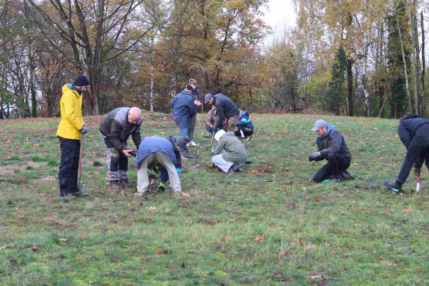 presseberg,bad belzig,trockenrasen,skabiose,naturpark hoher fläming,life trockenrasen