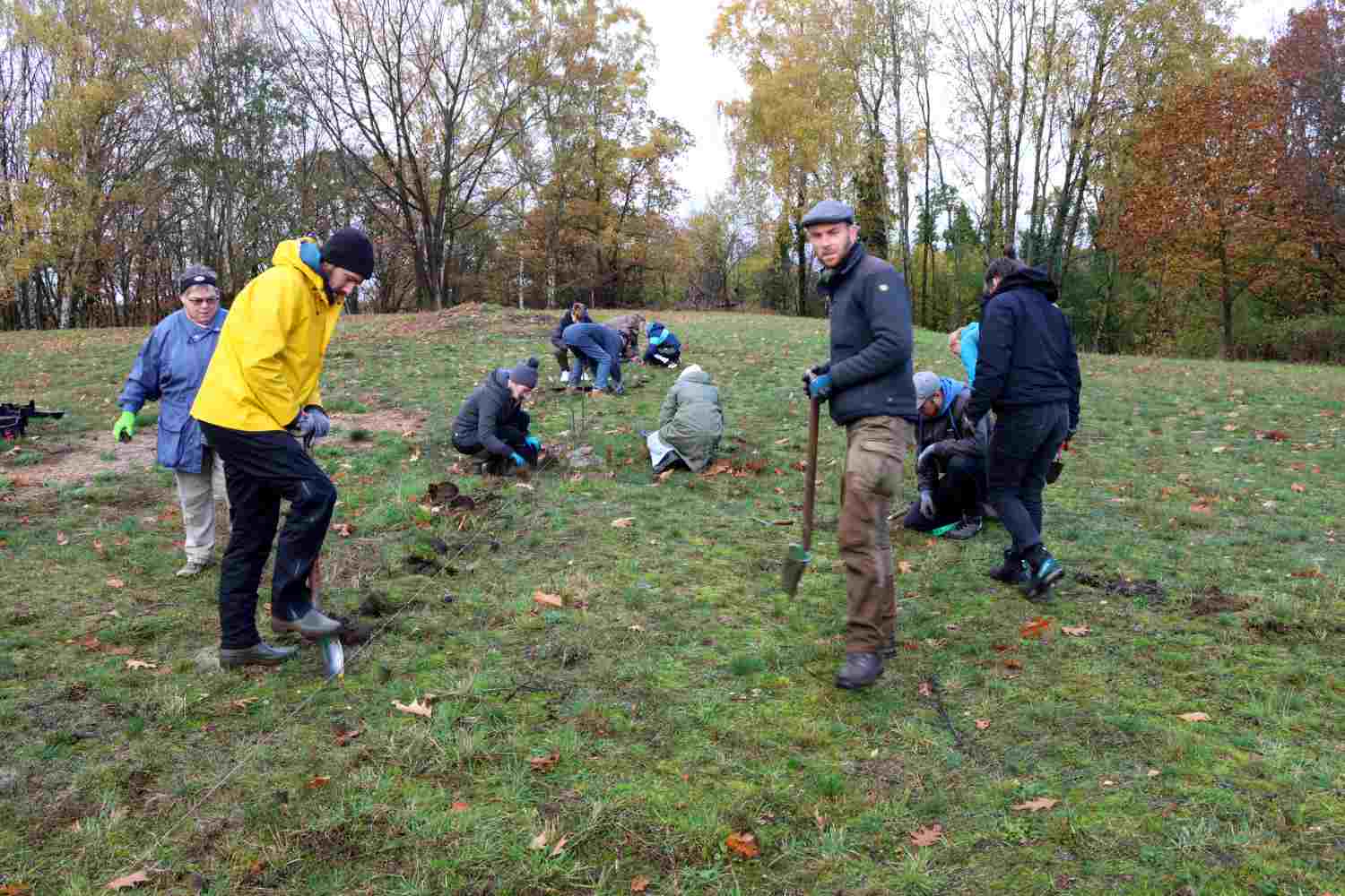 presseberg,bad belzig,trockenrasen,skabiose,naturpark hoher fläming,life trockenrasen