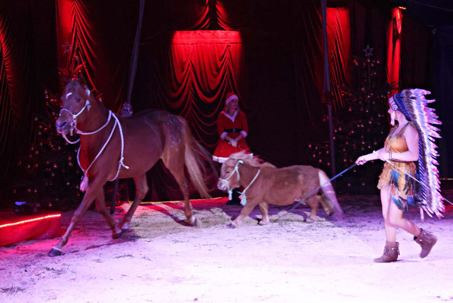 zirkus aramannt,bad belzig,medewitzerhütten,artistik,dressuren,jonglieren