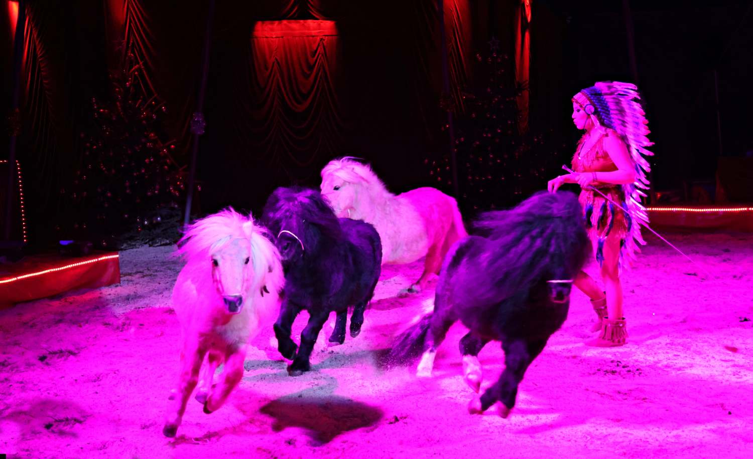 zirkus aramannt,bad belzig,medewitzerhütten,artistik,dressuren,jonglieren