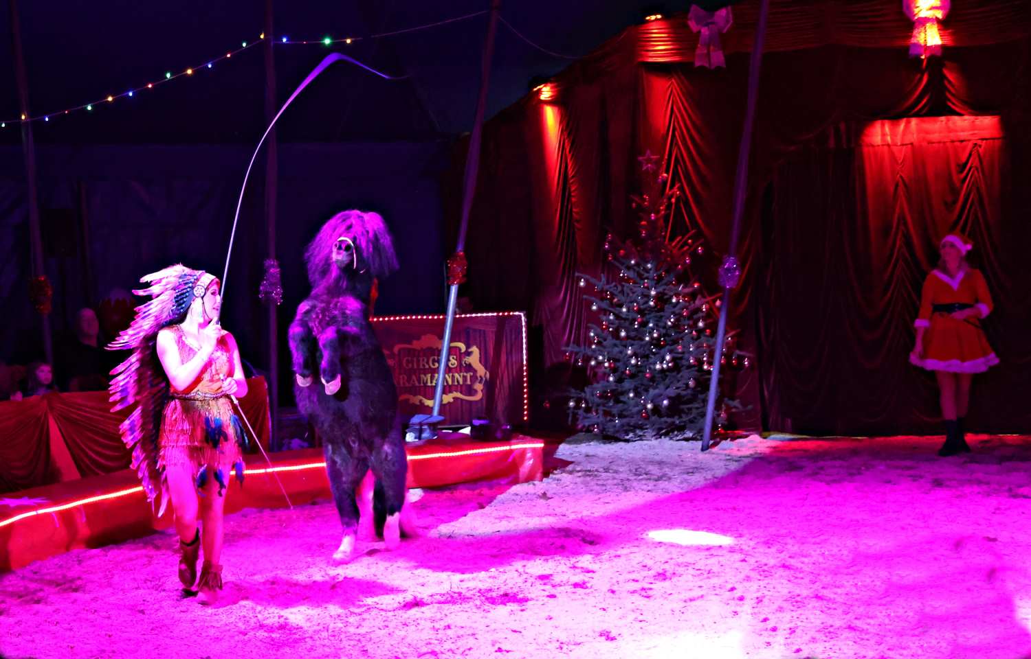 zirkus aramannt,bad belzig,medewitzerhütten,artistik,dressuren,jonglieren