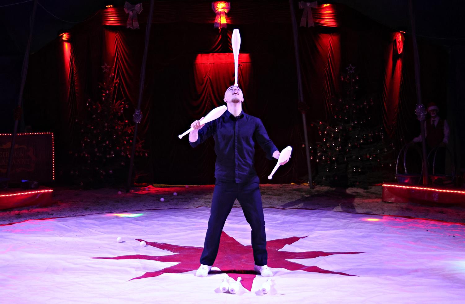 zirkus aramannt,bad belzig,medewitzerhütten,artistik,dressuren,jonglieren