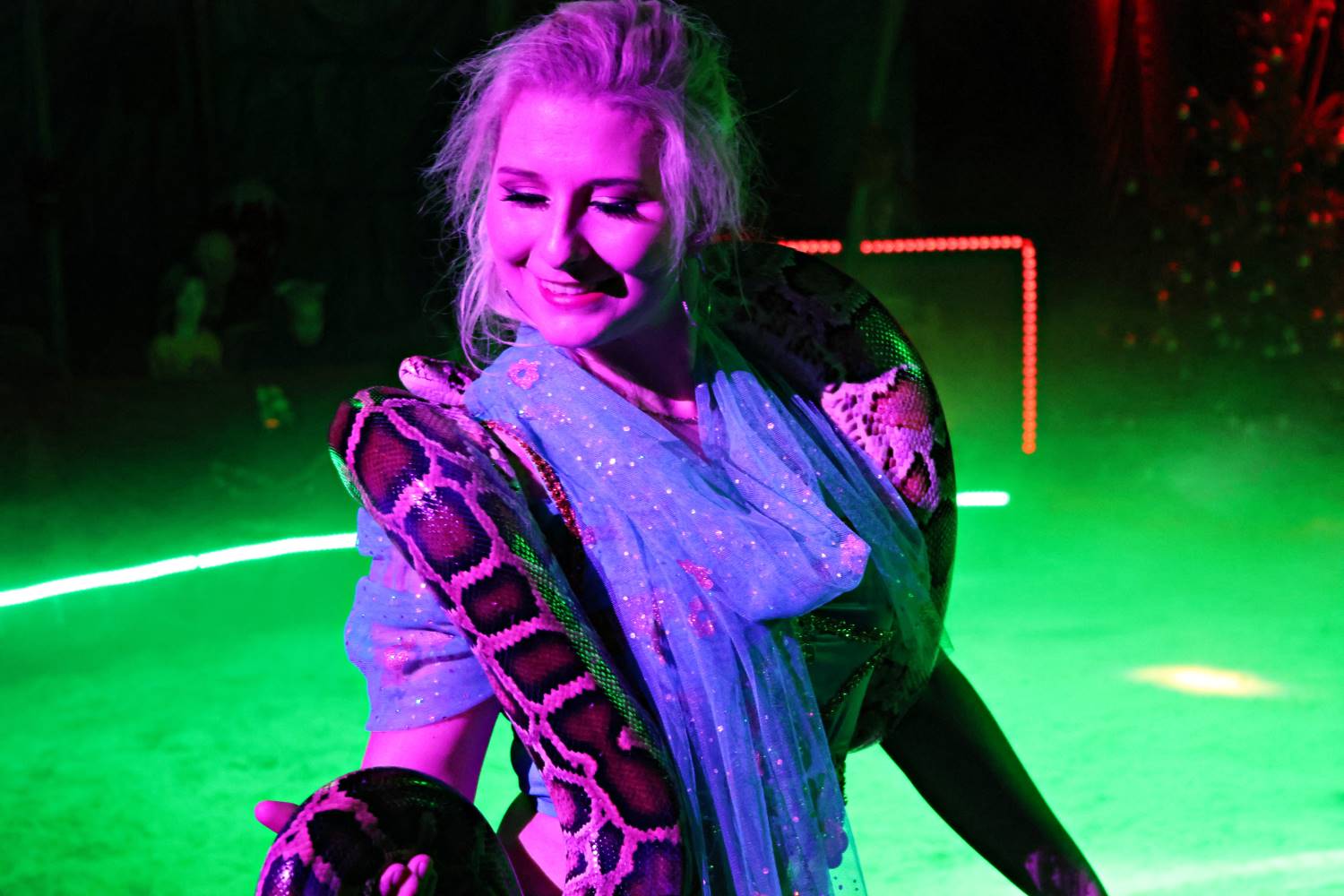 zirkus aramannt,bad belzig,medewitzerhütten,artistik,dressuren,jonglieren