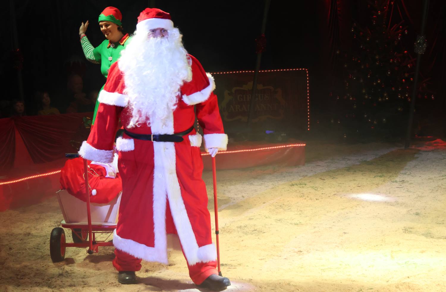 zirkus aramannt,bad belzig,medewitzerhütten,artistik,dressuren,jonglieren