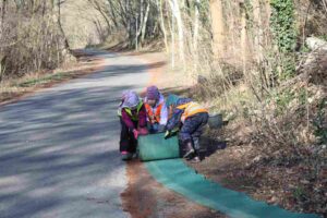 naturwacht hoher fläming,krötenzäune,bad belzig,stadionteich,amphibienschutz