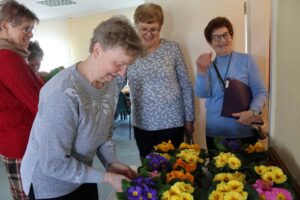 frauentag,reetz,gärtnerei köhler,primelnfederflug
