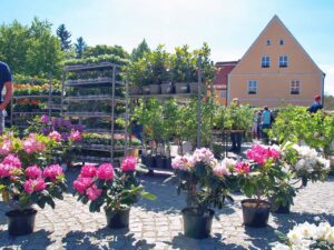 blumenmarkt,wiesenburg,kirche wiesenburg,mals scheune,grundschule am schlosspark,bläserklassen,park wiesenburg