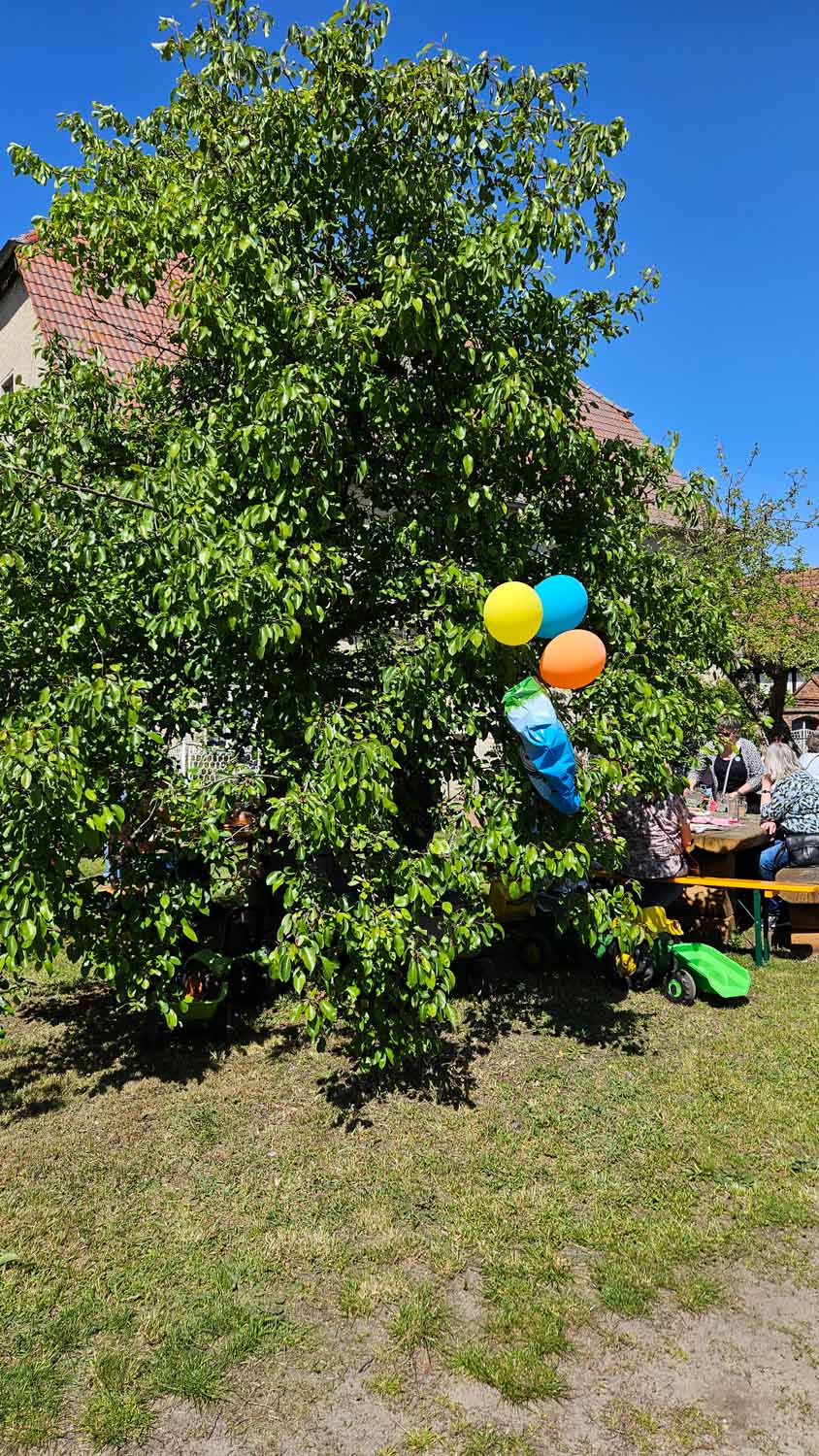 Lütte, Lüttes Welt 2024