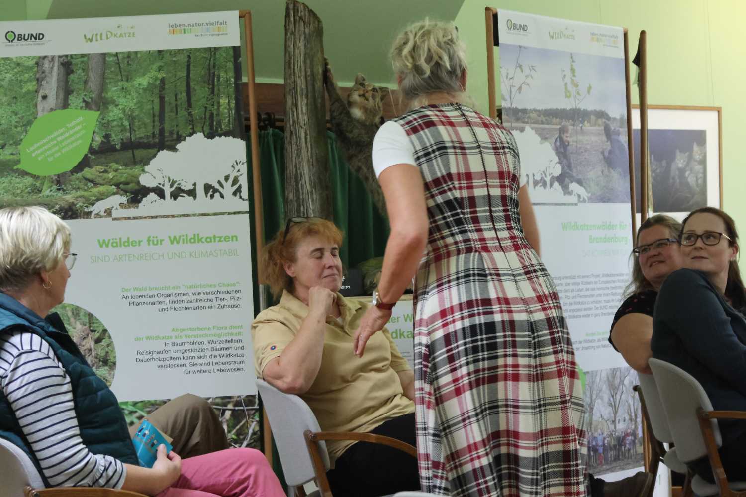 wildkatze,ausstellung naturparkzentrum raben,naturwacht, naturpark hohe fläming, fräulein brehm