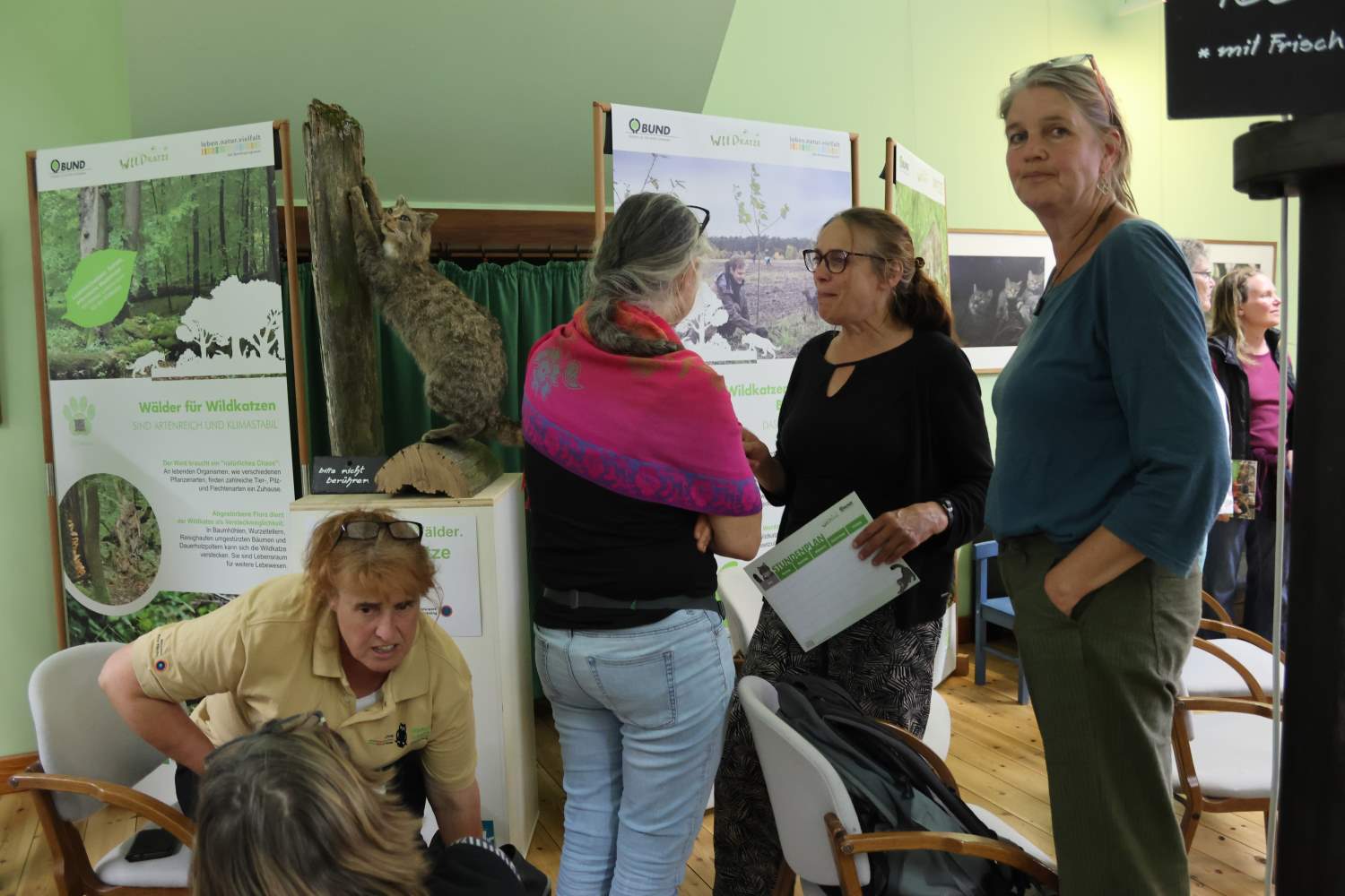 wildkatze,ausstellung naturparkzentrum raben,naturwacht, naturpark hohe fläming, fräulein brehm