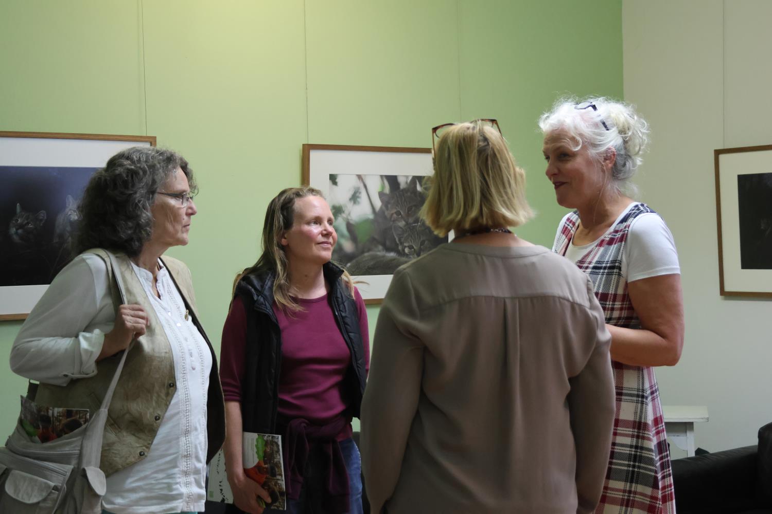 wildkatze,ausstellung naturparkzentrum raben,naturwacht, naturpark hohe fläming, fräulein brehm
