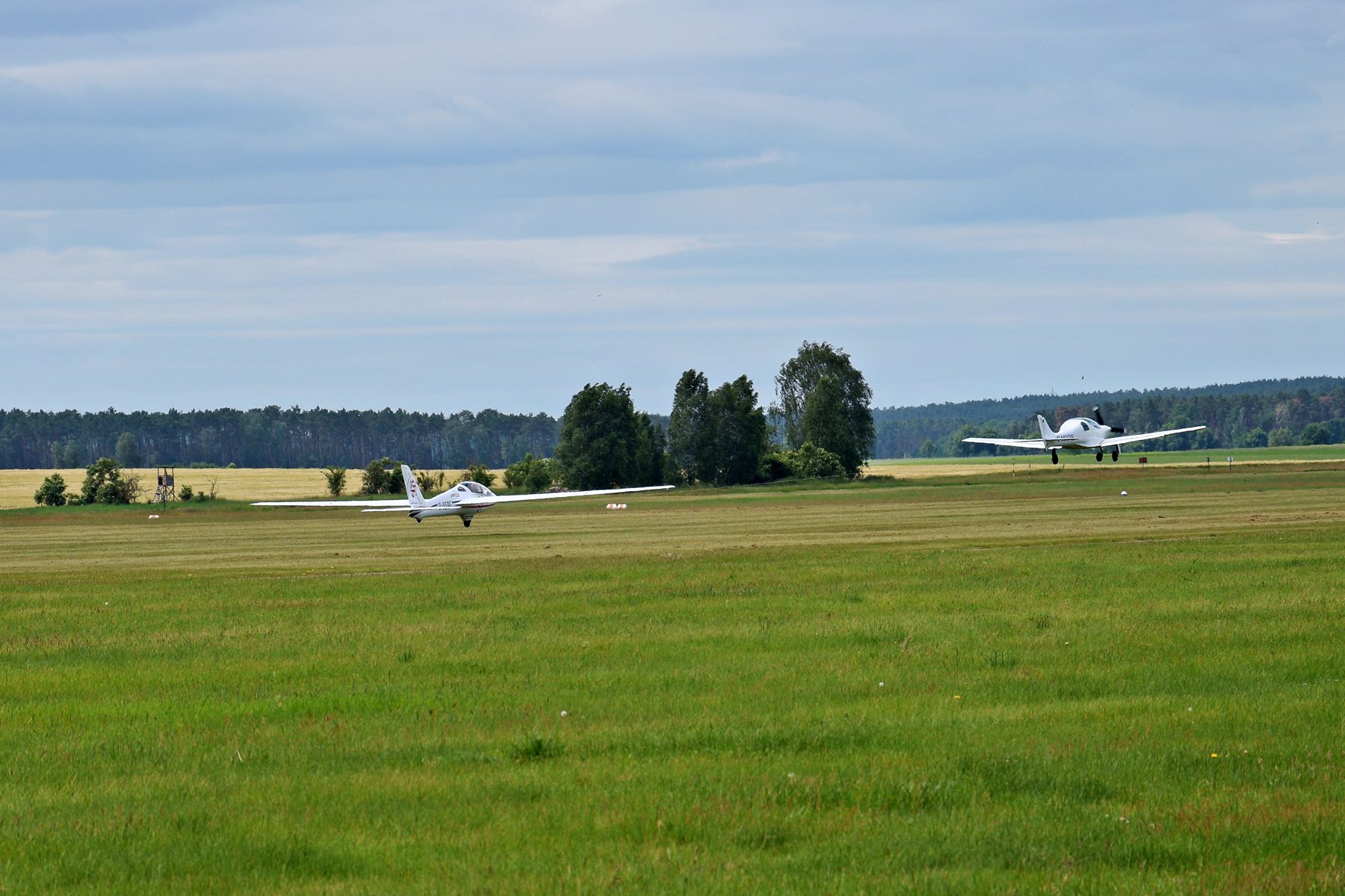 Salzmann Cup, Lüsse