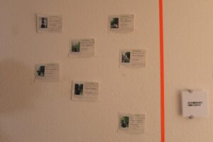 MiCT,SAM e.V., Coconat, gemeinde wiesenburg/Mark, landkreis potsdam-mittelmark,schmerwitz