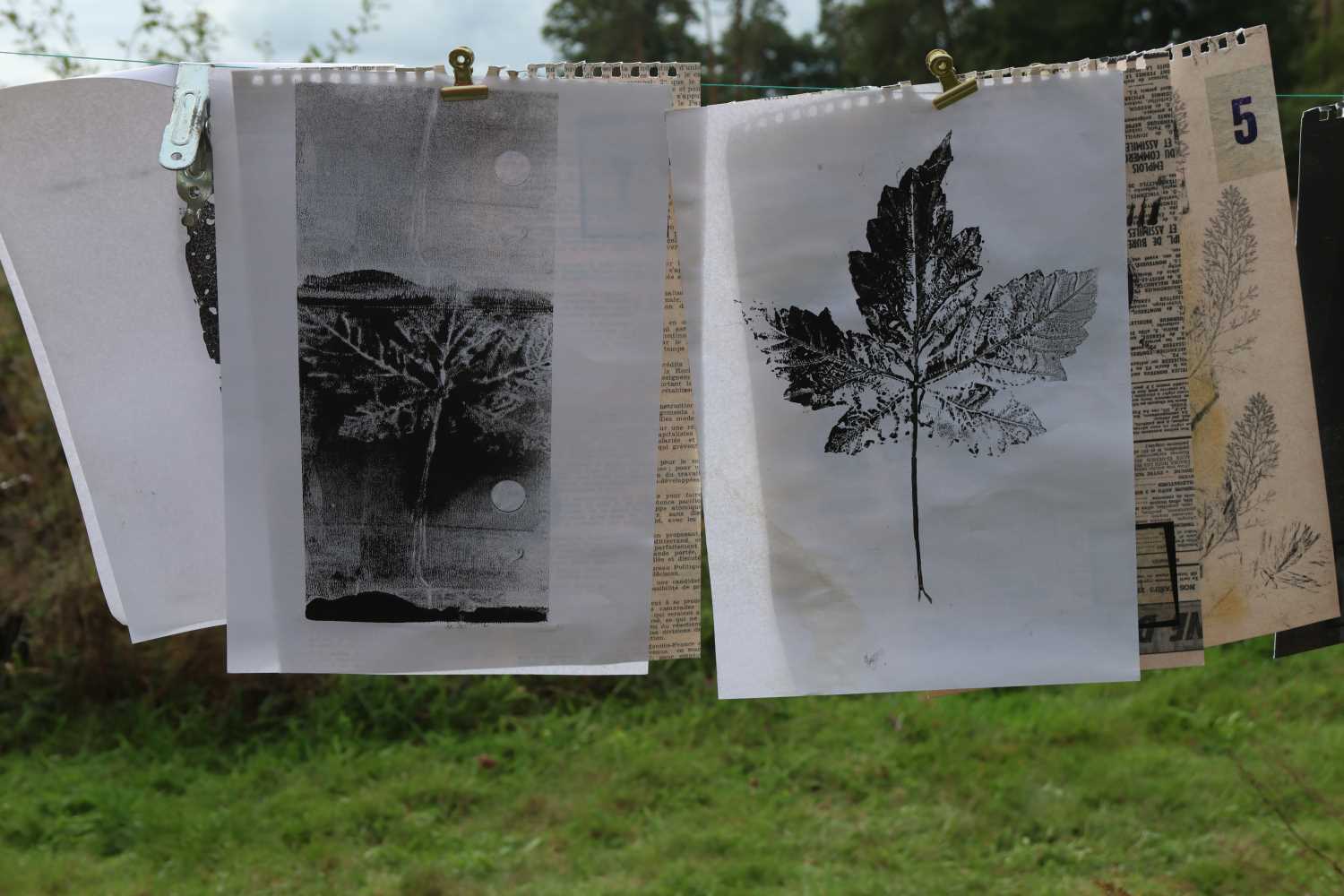 wildnisschule hoher fläming,grützdorf