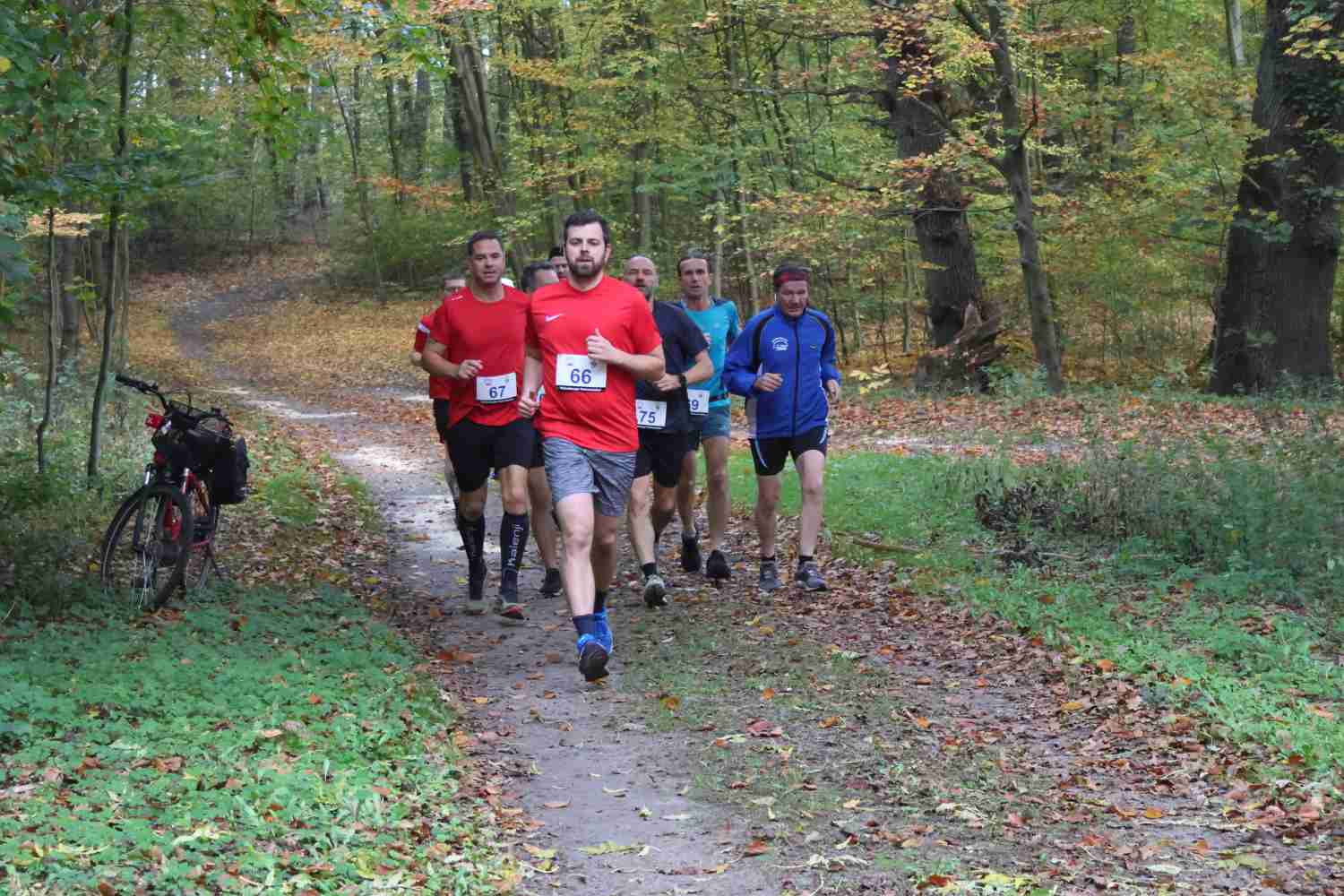 Parkcrosslauf wiesenburg,tsv wiesenburg,park wiesenburg,lvm cup