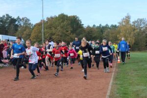 Parkcrosslauf wiesenburg,tsv wiesenburg,park wiesenburg,lvm cup