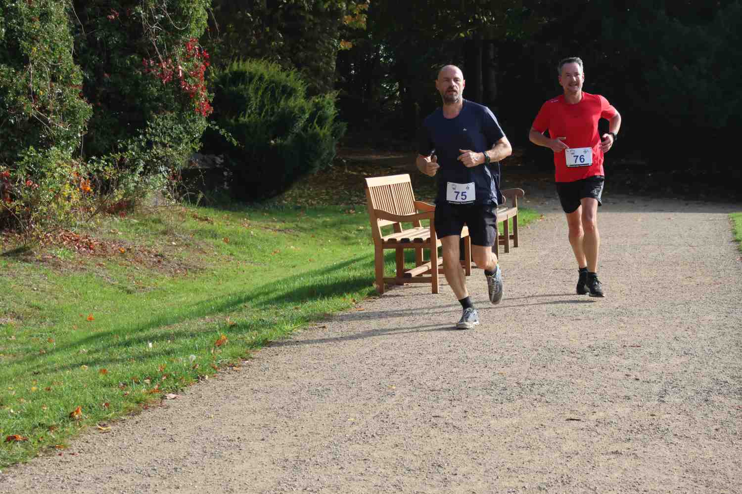 Parkcrosslauf wiesenburg,tsv wiesenburg,park wiesenburg,lvm cup